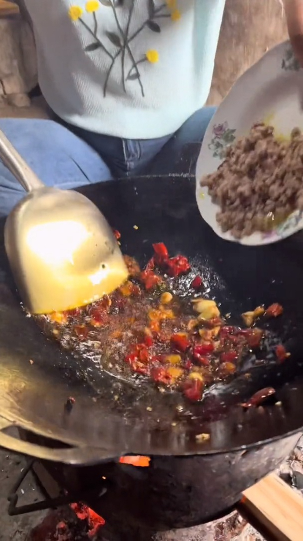 我们农村这样菜你能吃几碗,酸豆角炒肉沫!下饭下面条都好吃!