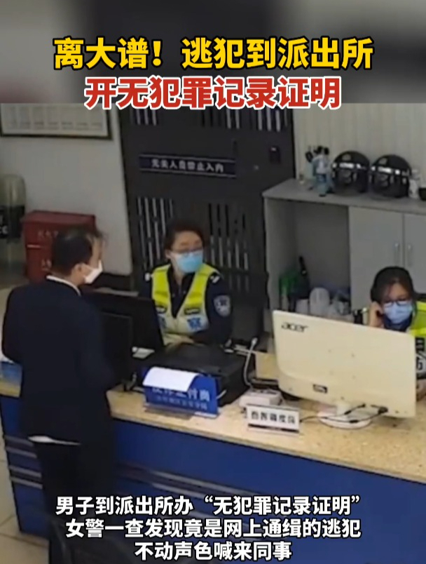 离谱!逃犯到派出所开无犯罪记录证明:在外地作案,以为当地警方不知道(冀看点)