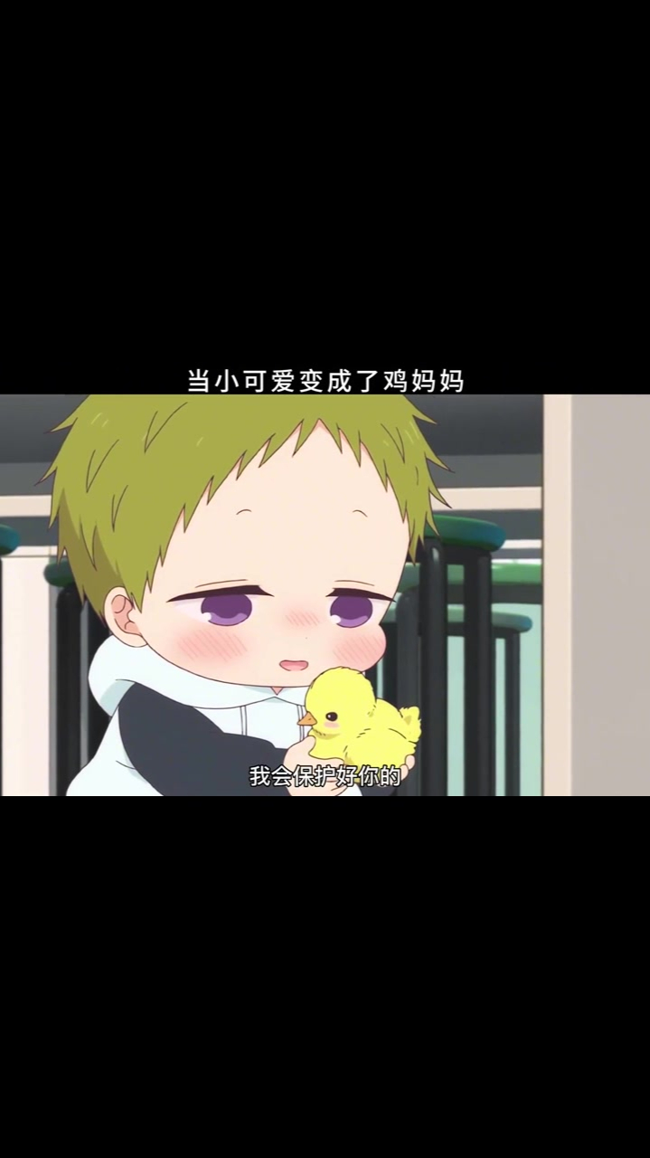 虎太郎也太有安全感了,奋不顾身的保护小鸡 可爱 故事的扉页