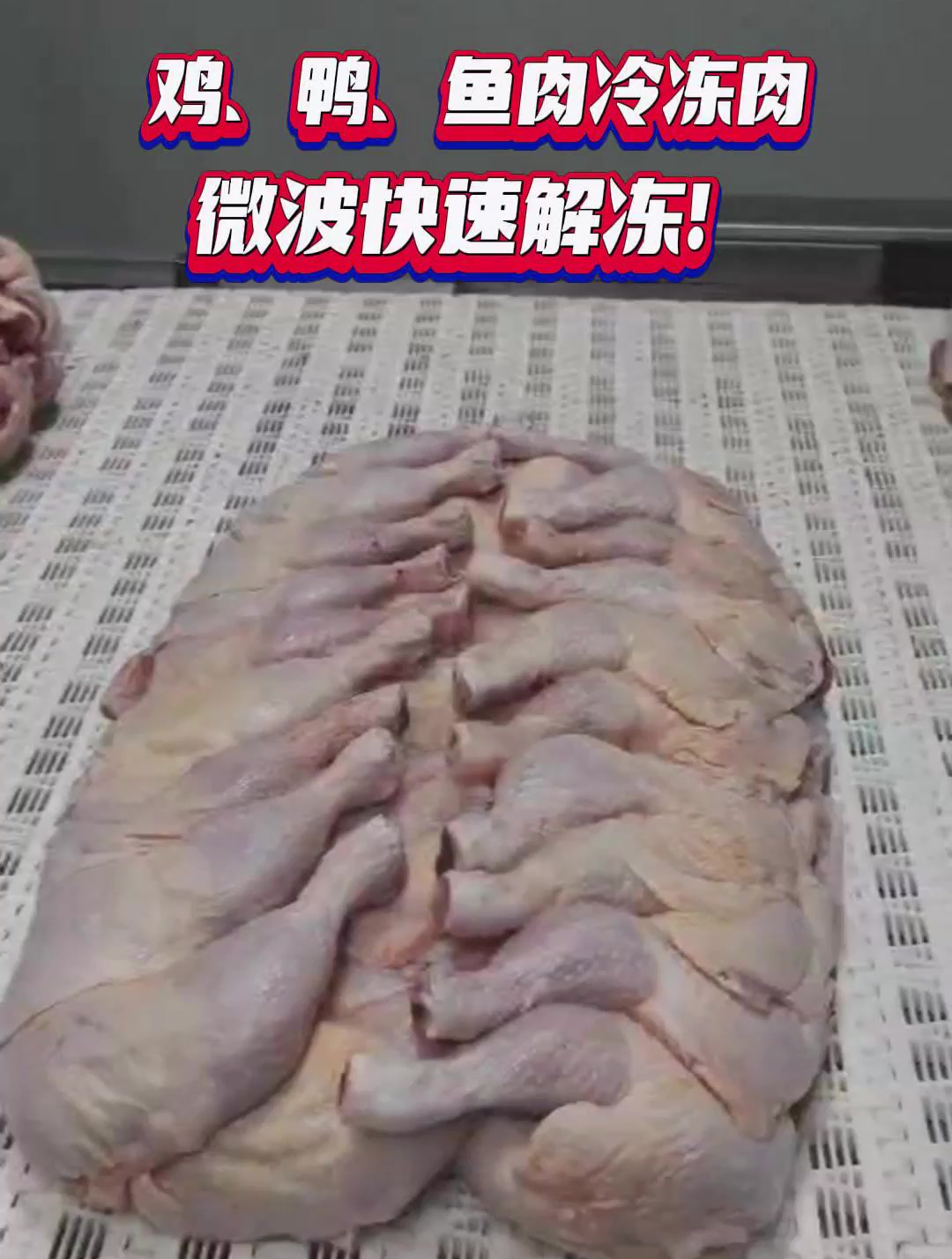 鸡鸭鱼冷冻肉解冻机