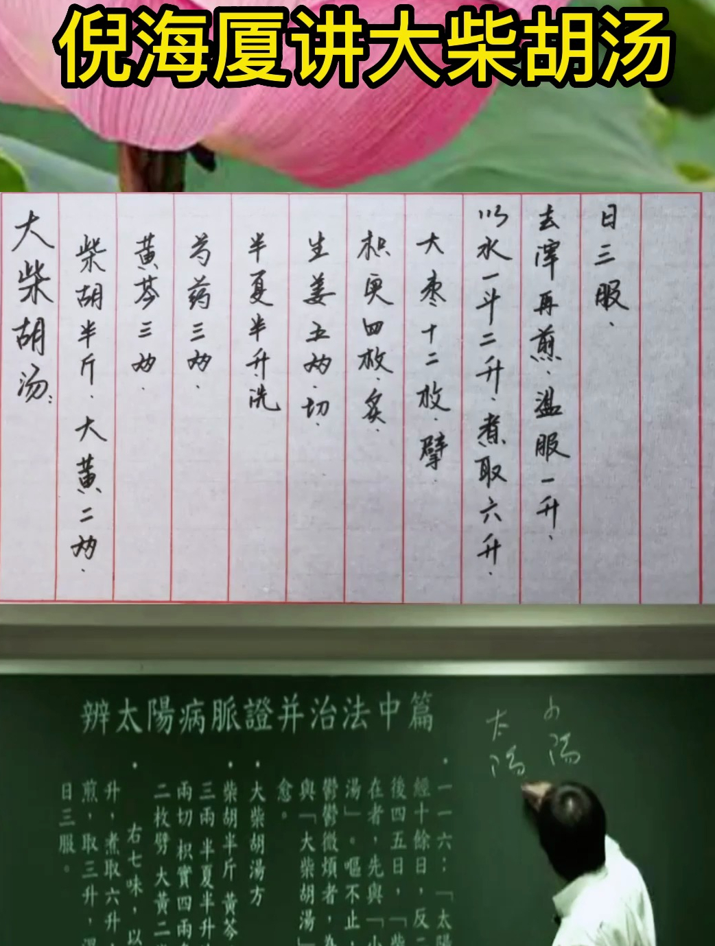 倪海厦:大柴胡汤和小柴胡怎么区分?