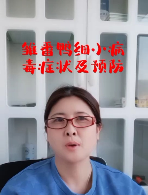 禽医玲兰姐讲番鸭细小病毒的症状及措施番鸭细小病毒病(三周病