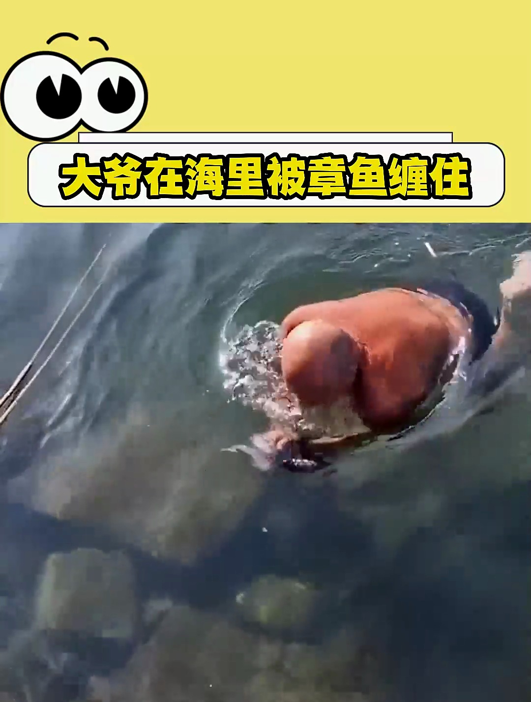 大鱼在海里被章鱼缠住了手臂