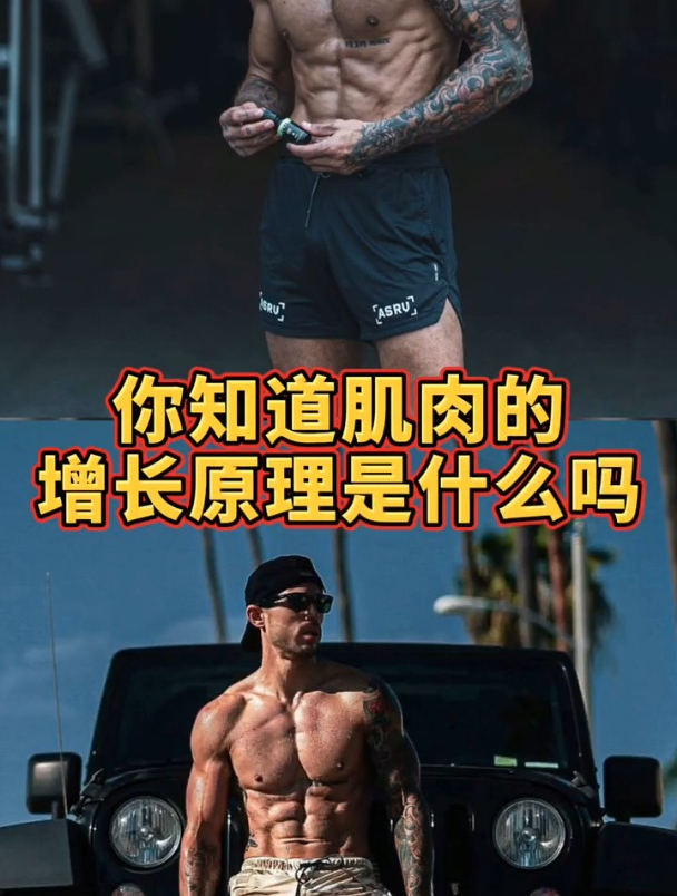 你知道肌肉的怎么增长的吗