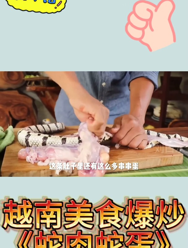 越南美食爆炒《蛇肉蛇蛋》1