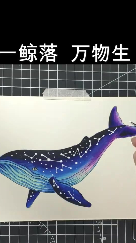 彩铅插画大鱼,浪漫星海