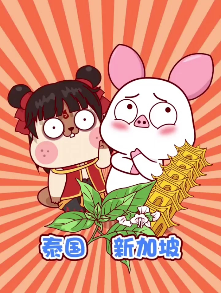 印尼九层塔到底是个啥?原来是种香料啊