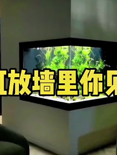 你见过把鱼缸放柜子里的吗?这还是一个双面观赏的鱼缸,两面1.1