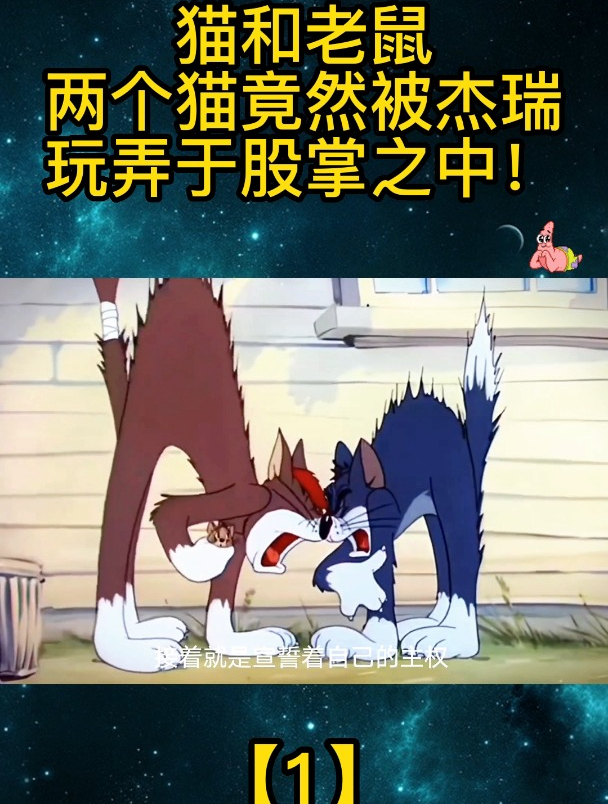 猫和老鼠:两个猫竟然被杰瑞玩弄于股掌之中!「1」