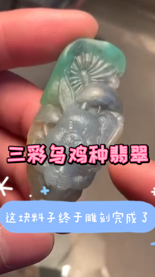 少见的乌鸡种三彩翡翠,玉雕师将它雕刻成卡通形象,整体看上去非常漂亮