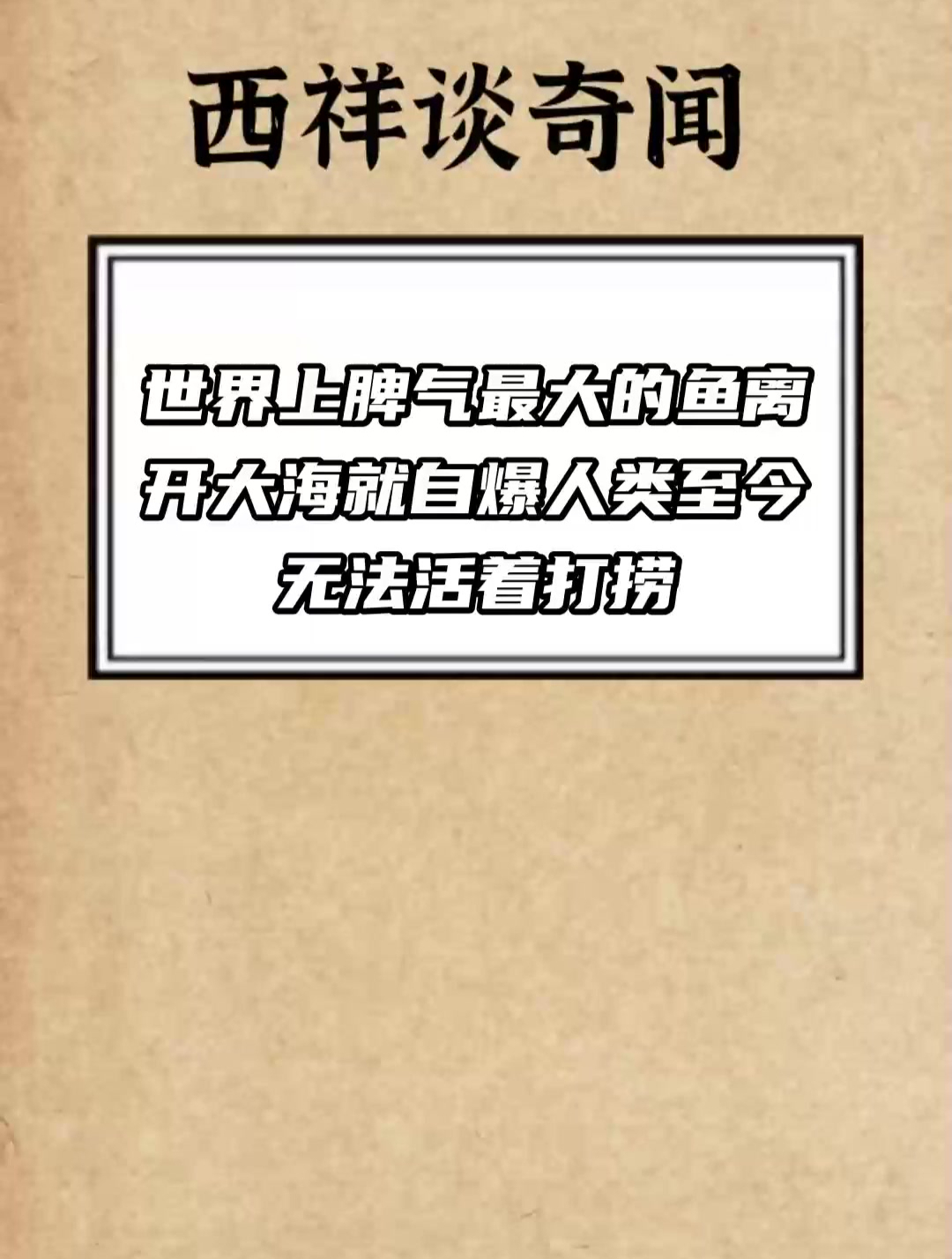 世界上 脾气最大 的鱼 离开大海就自爆 人类至今无法活着打捞