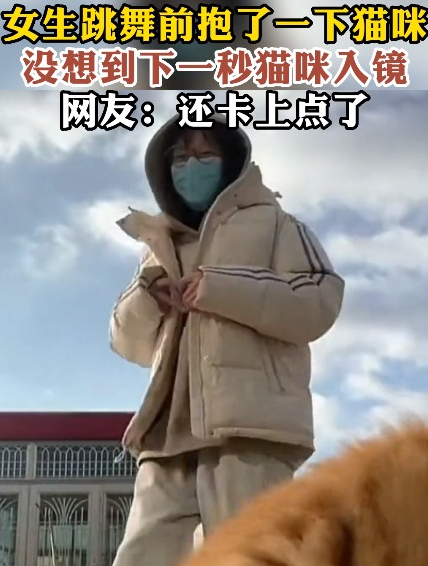 女生跳舞前抱了一下猫咪没想到下一秒猫咪入镜网友:还卡上点了