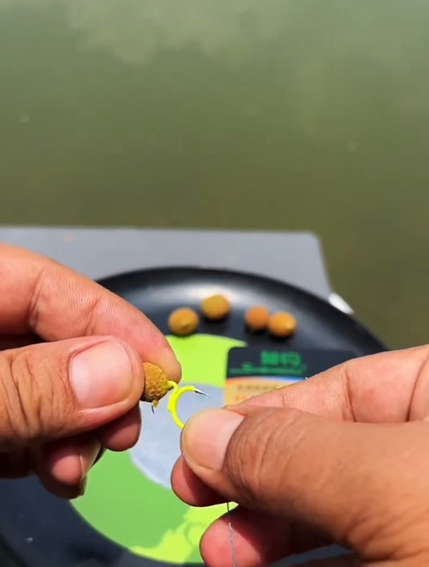 水库钓草鱼,为啥隔壁连连上鱼?只因鱼钩多了个“钩”!