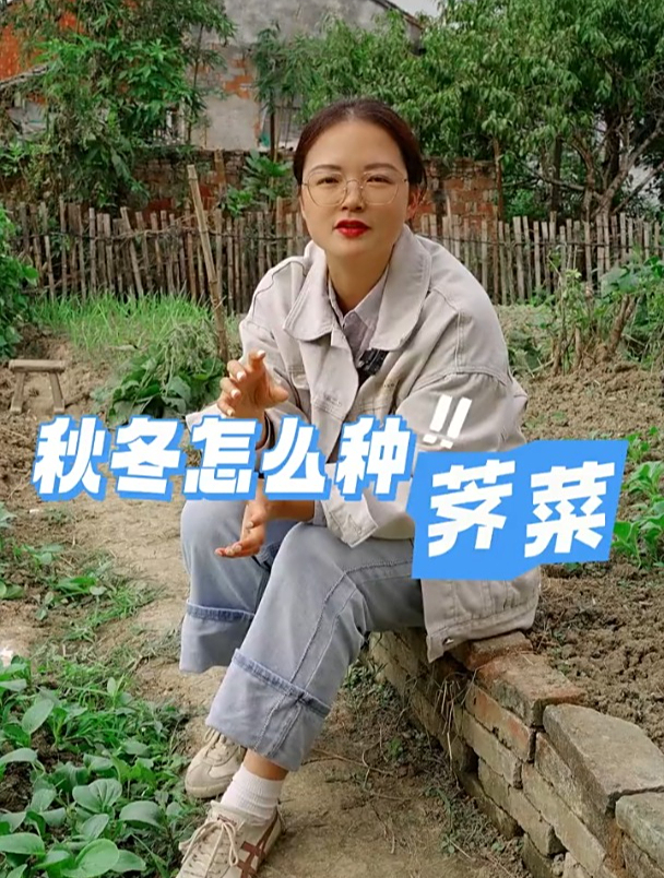 荠菜什么时候种,到底怎么种,看完你就知道了!