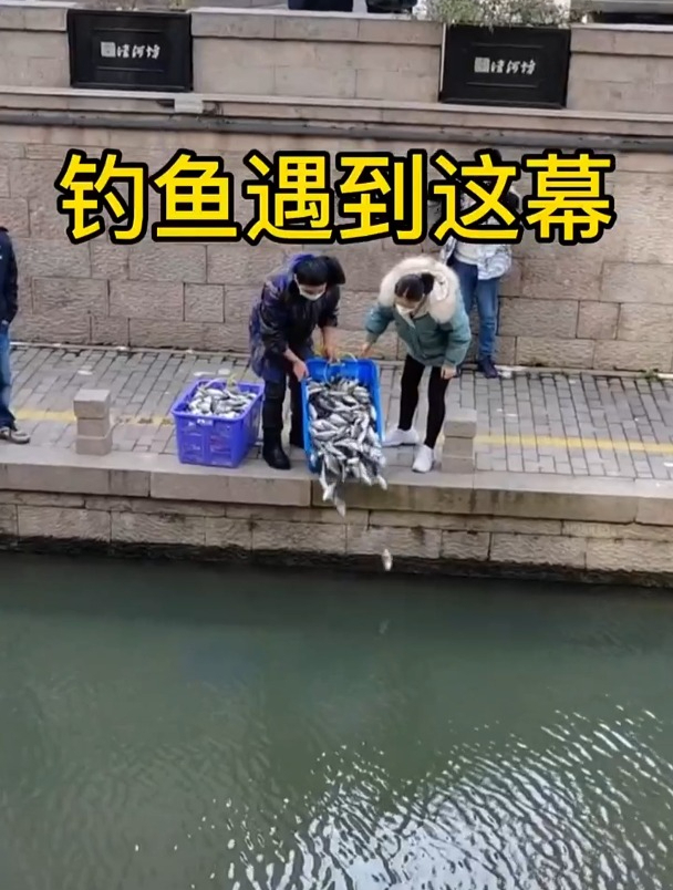 钓鱼遇到这一幕!网友:本来想封杆的,你这让我以为来到了天堂