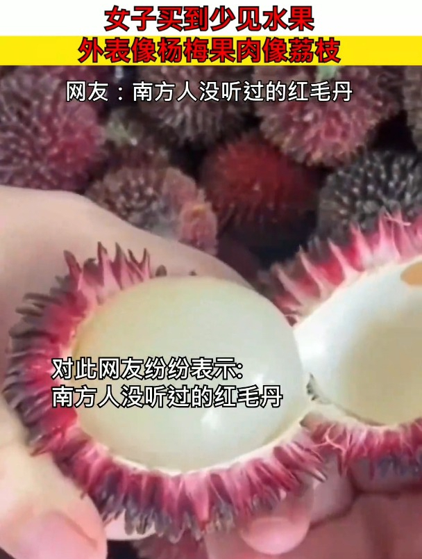女子买到少见水果,外表像杨梅果肉像荔枝,网友:没听过的红毛丹