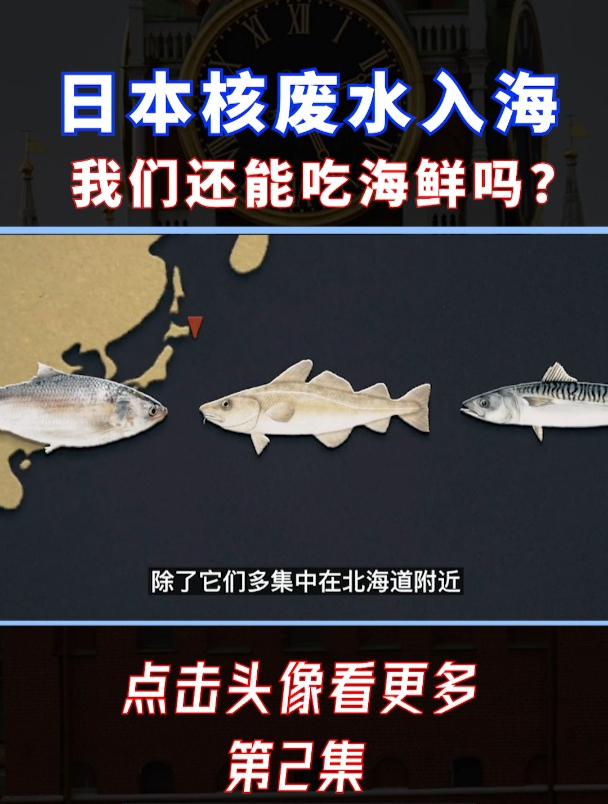 日本核废水开始入海了,我们还能吃海鲜吗?对我们有什么影响?