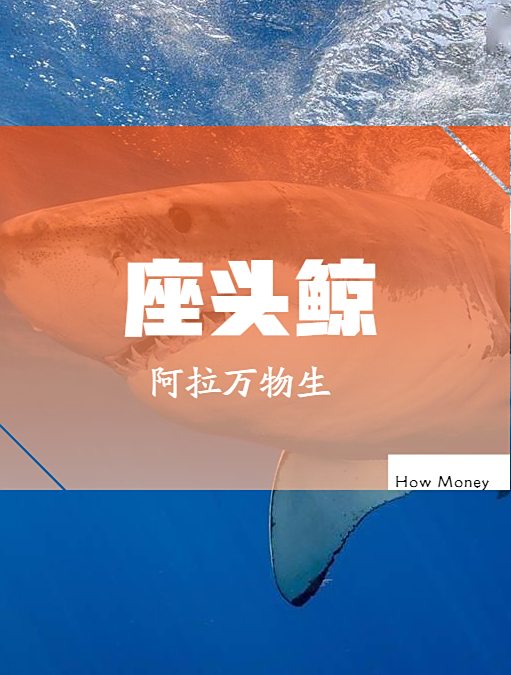 BBC神级纪录片:不要再呼叫座头鲸了