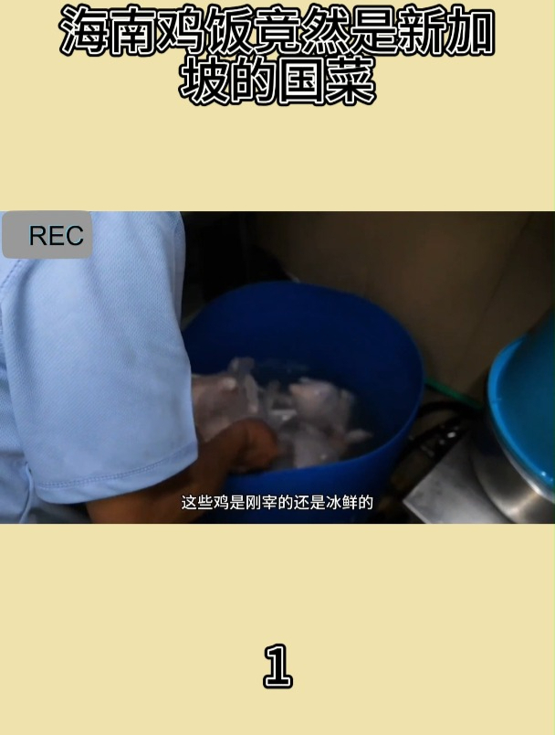 海南鸡饭竟然是新加坡的国菜1