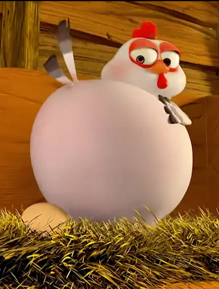 母鸡孵蛋的故事!