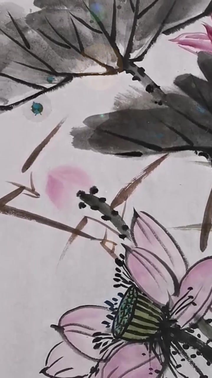 最美国画教学:荷花作品