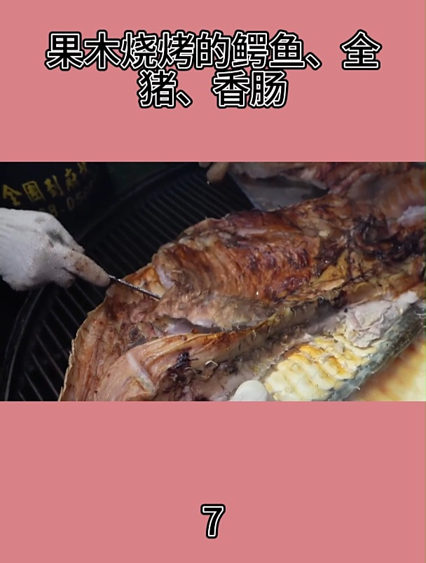 果木烧烤的鳄鱼、全猪、香肠7