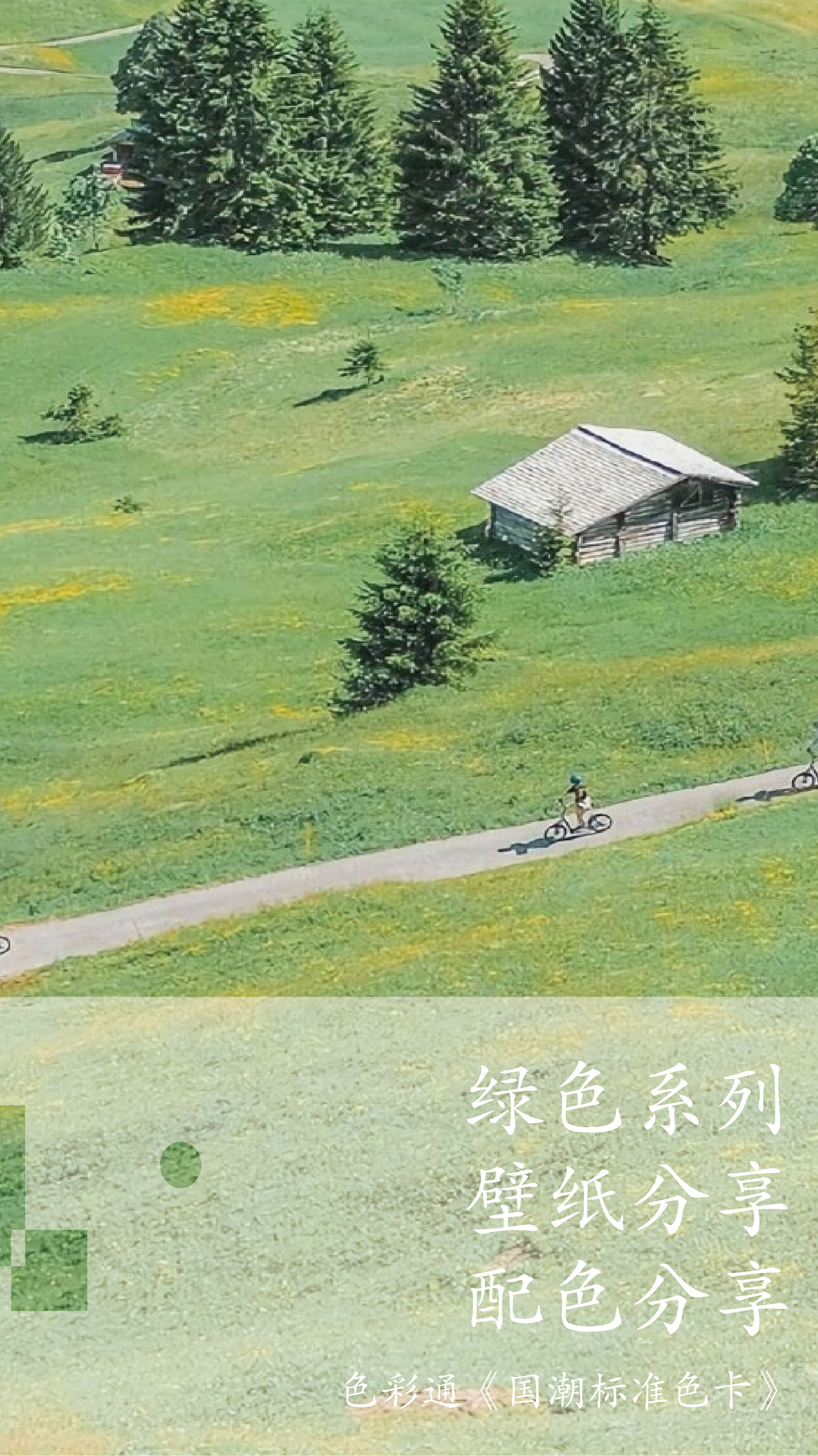 绿色系列壁纸配色