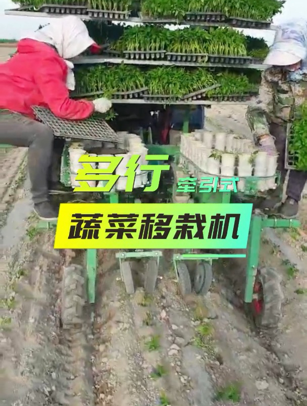牵引式蔬菜移栽机