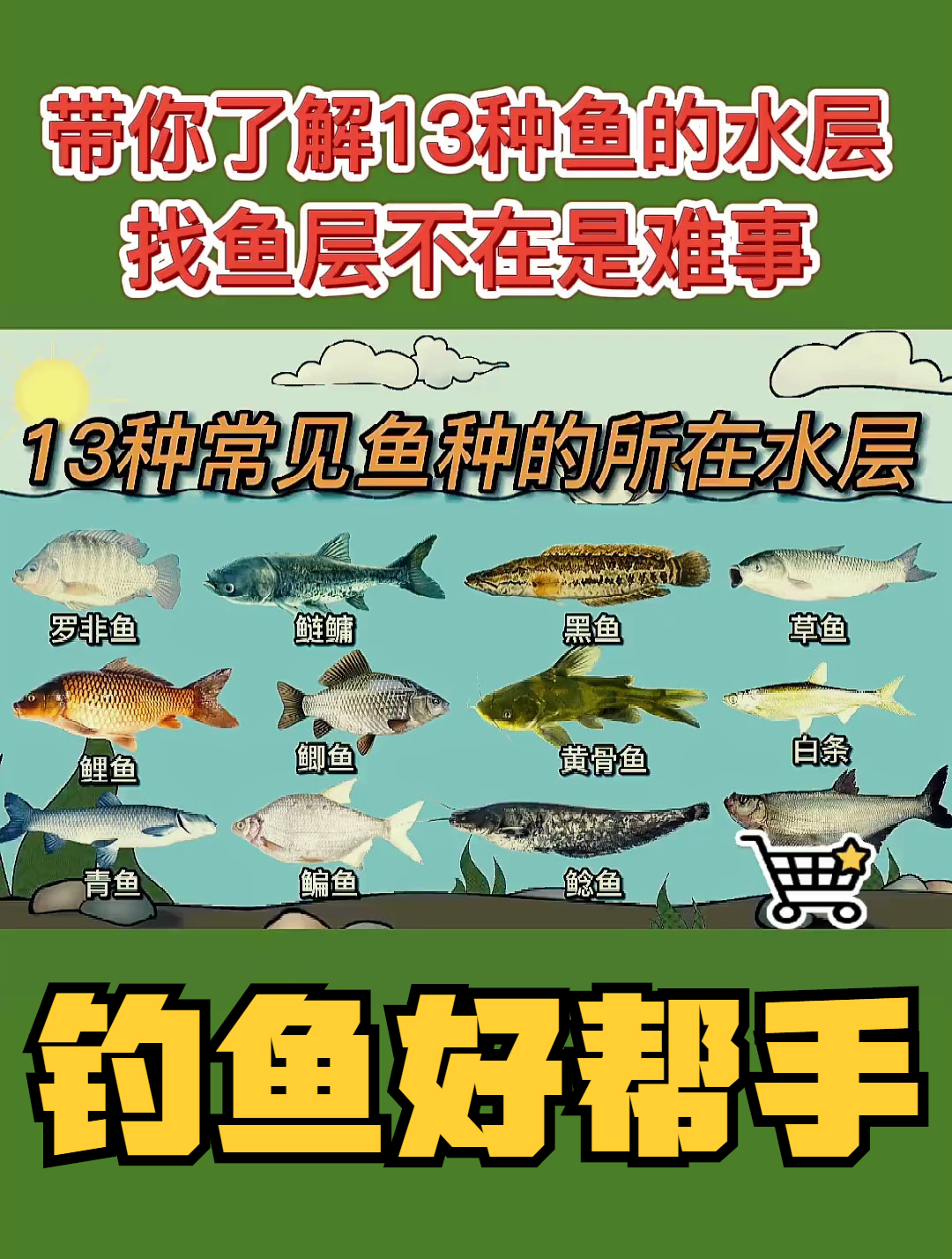 带你了解13种鱼的水层,找鱼层不再是难事