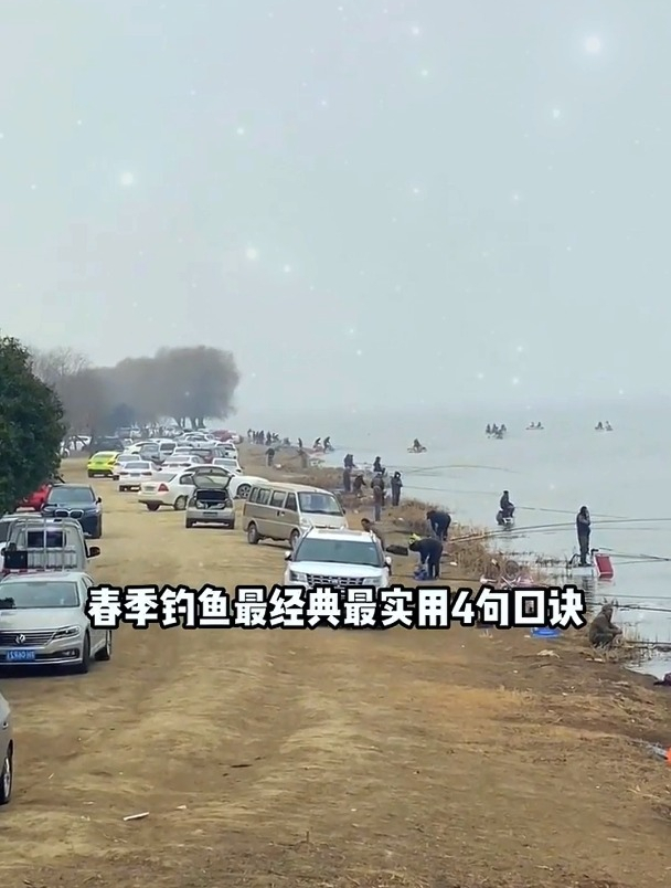 别不信,春钓只要牢记这实用口诀,不管在哪钓,鲫鲤鱼轮番上钩!