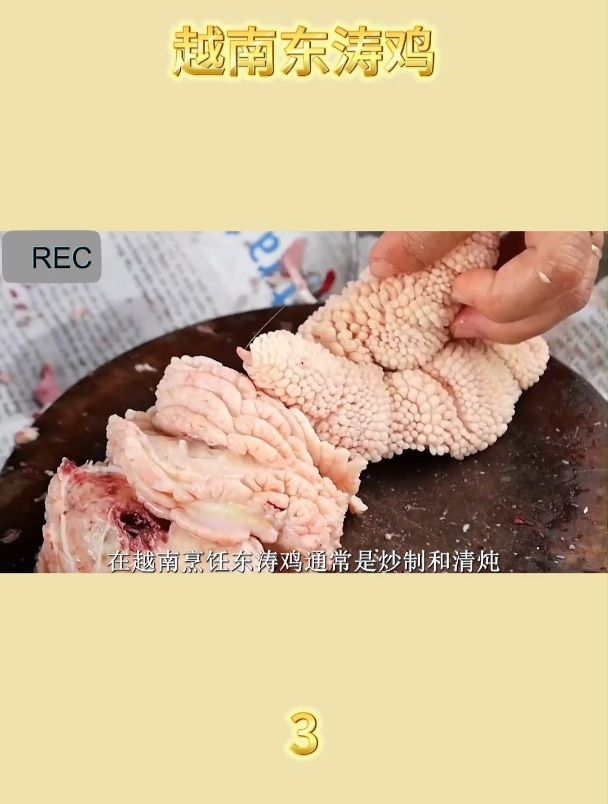 越南东涛鸡教程