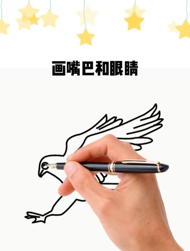 老鹰简笔画,孩子画老鹰画不好请看这里的教程,绘画启蒙