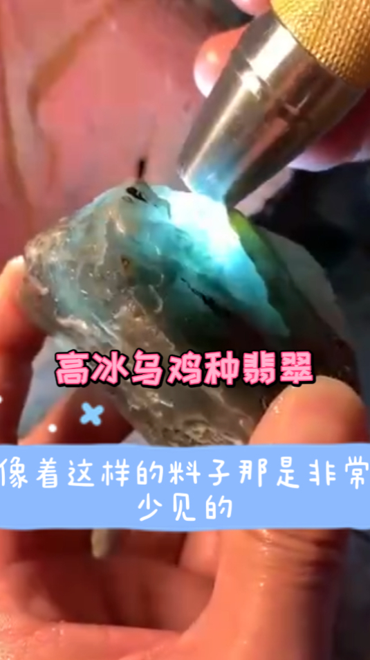 黑乎乎的翡翠料子,一刀切出高冰乌鸡种翡翠,真是不错