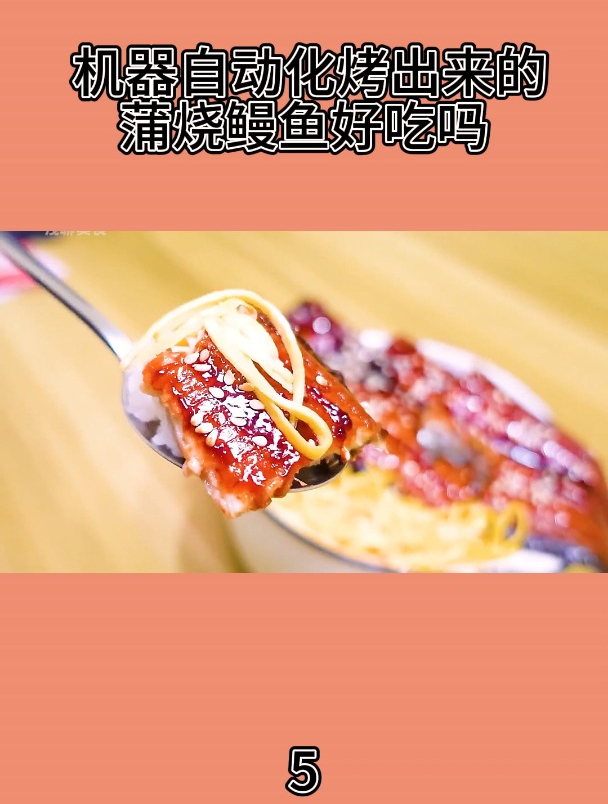 机器自动化烤出来的蒲烧鳗鱼好吃吗5