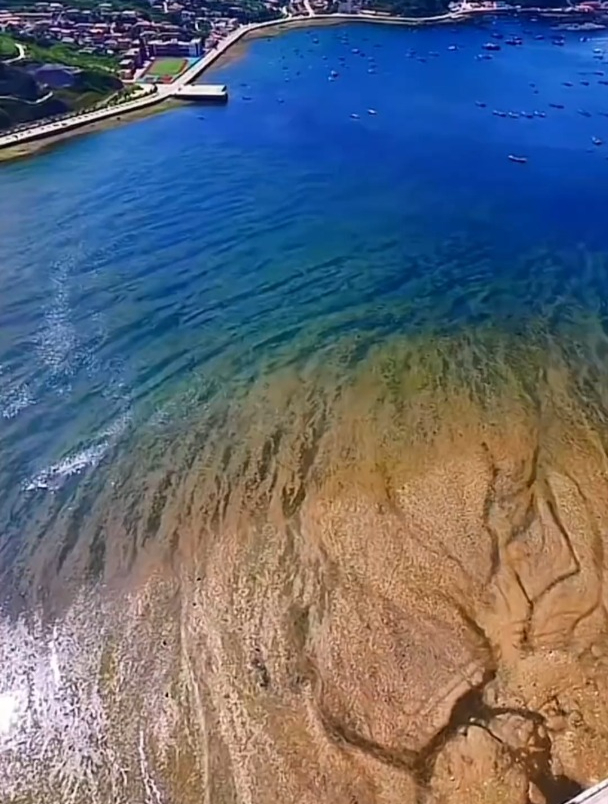 今天钓到巨型黑黄鱼