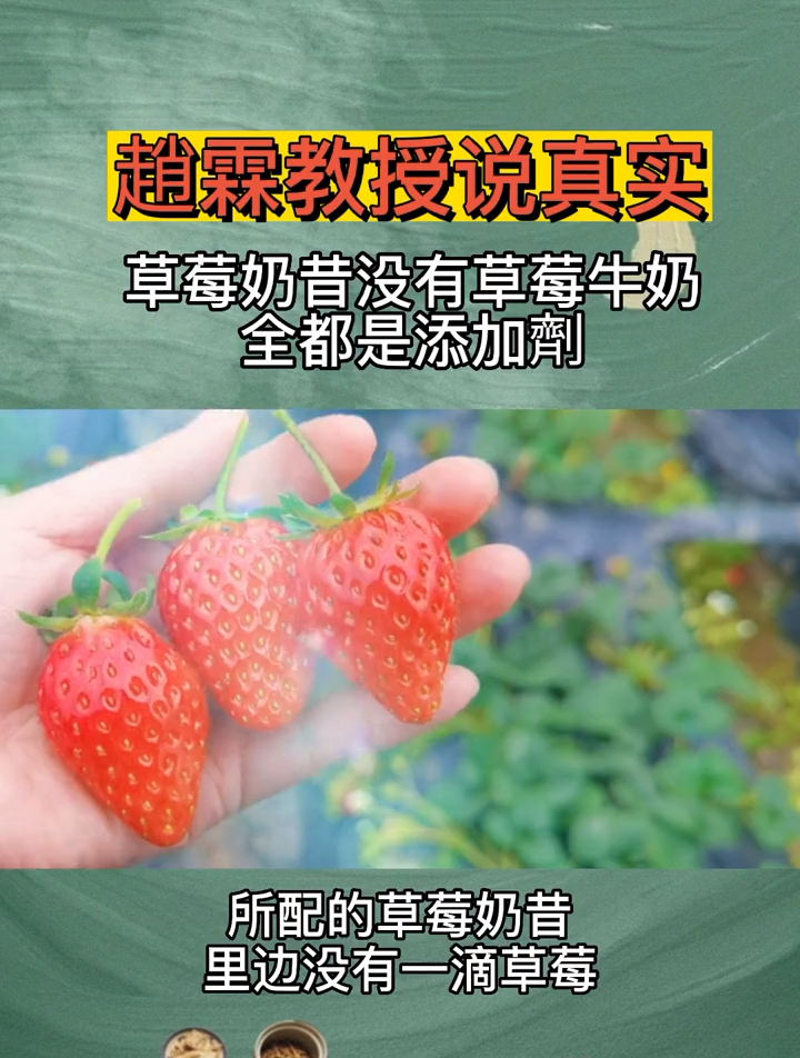 赵霖教授:草莓奶昔里面没有草莓,没有牛奶,全都是添加剂