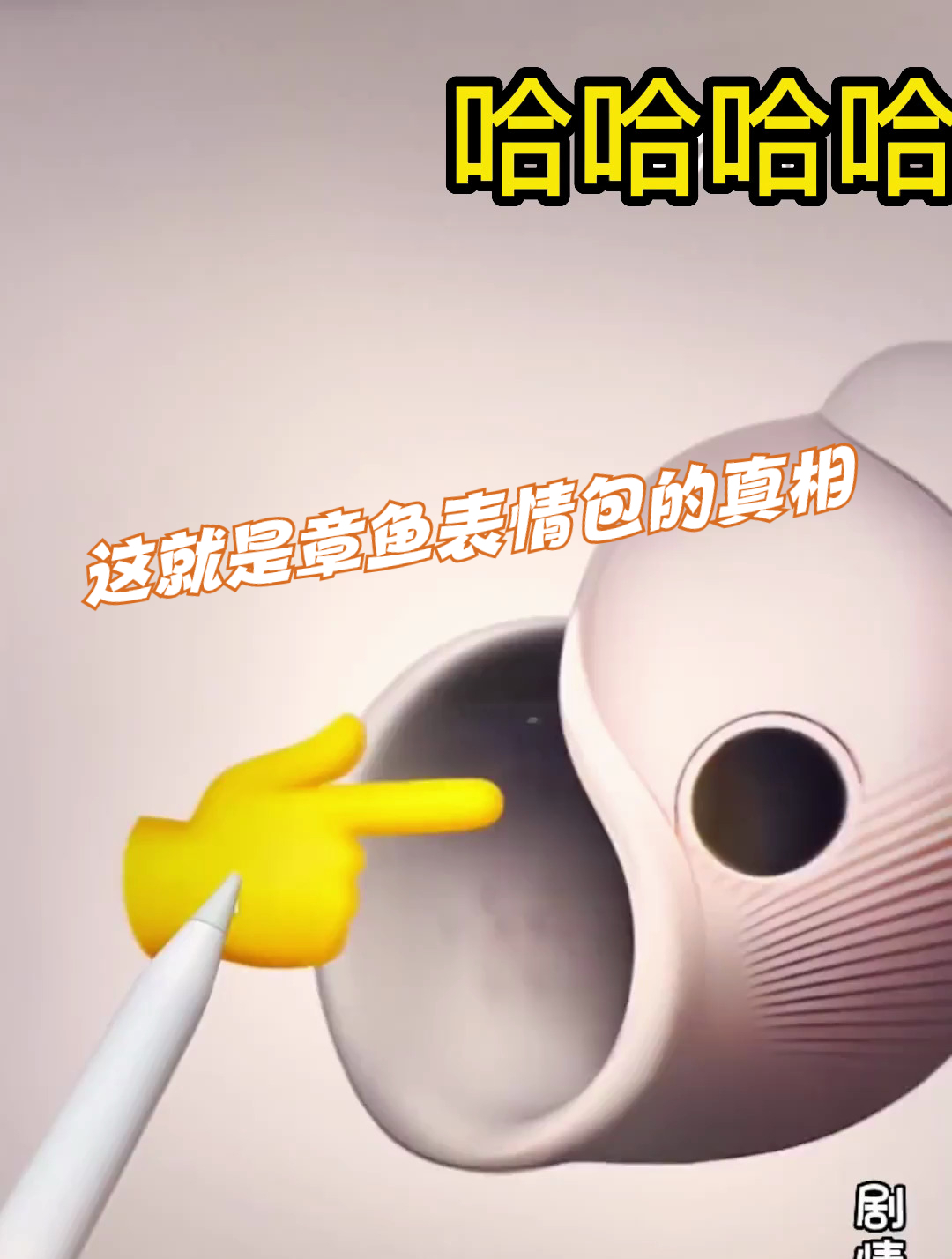 这就是章鱼表情包的真相