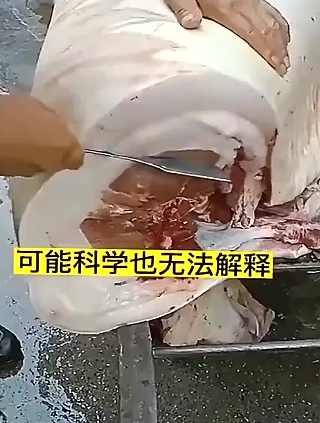 前辈留下的养生秘方,老百姓的“人参汤”可以用小米粥代替