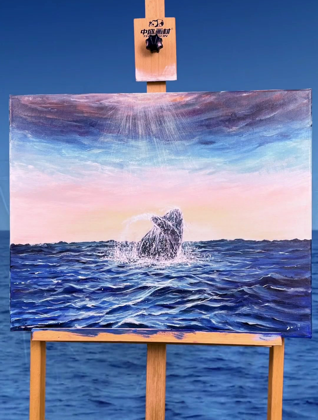 人间最美 不过鲸落 你如星辰大海 倾万鲸成宇宙