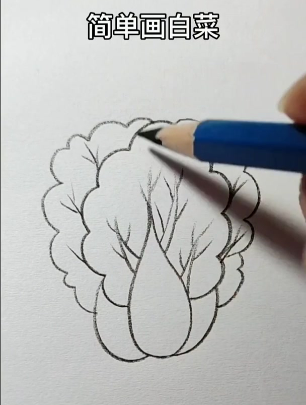 白菜的简单画法,喜欢的收藏哦
