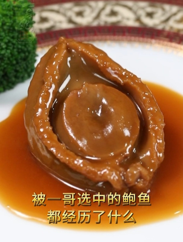 我们的鲍鱼,是怎么选出来的?