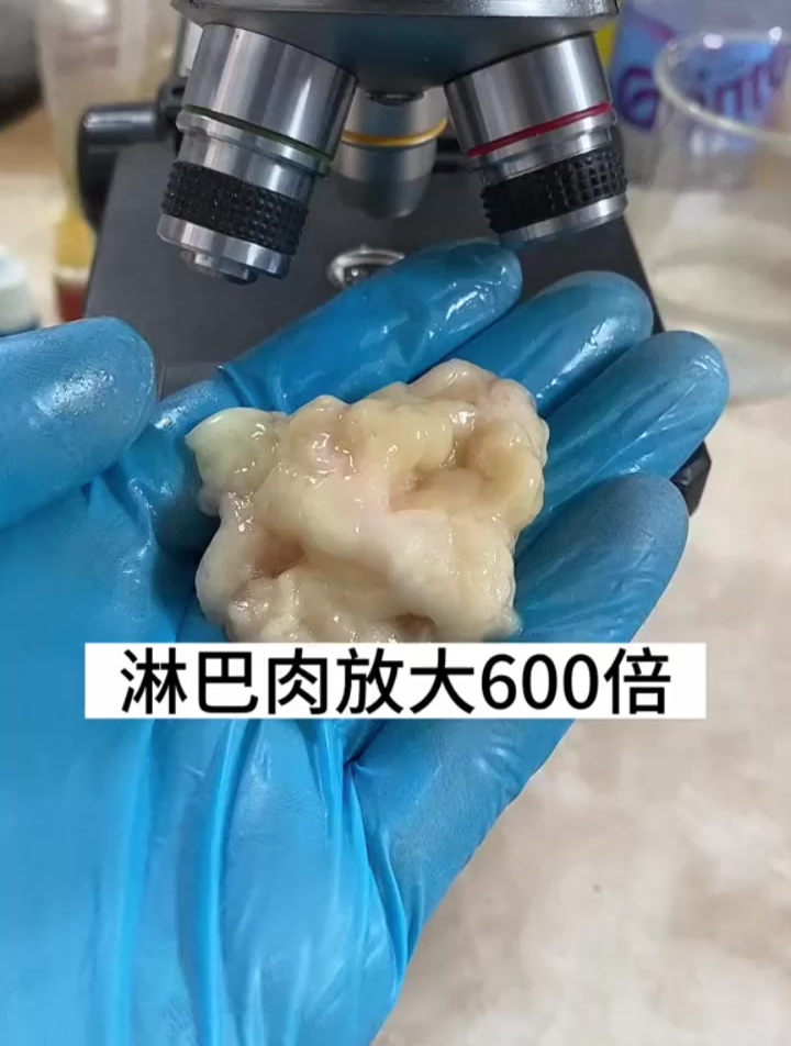 淋巴肉放大600倍,才知道竟然是这样的,以后千万别吃哦