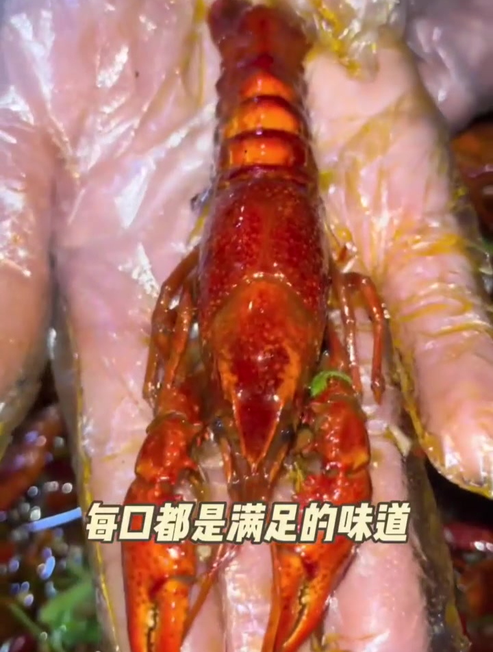 朝阳东大桥附近 5斤的小龙虾 套餐团购128 赶快冲