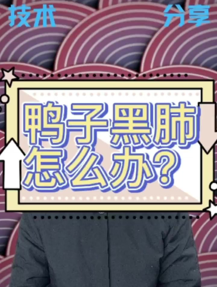 鸭子黑肺怎么办?鸭子肺部发黑是什么病 鸭子肺发黑症状