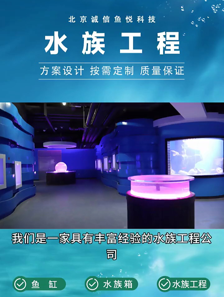 亚克力鱼缸,那一幕幕息息相关的水中之舞,让人心旷神怡