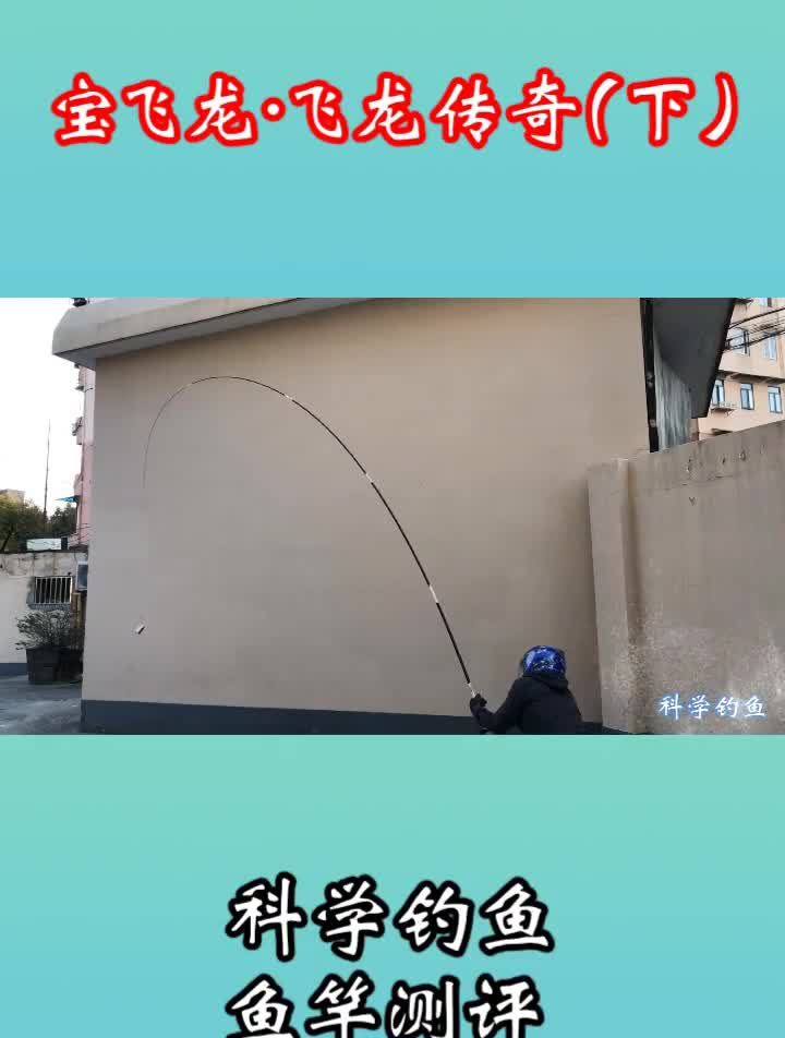 鱼竿测评:宝飞龙-飞龙传奇4。5米(下)鱼竿