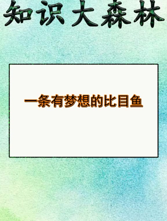 一条有梦想的比目鱼