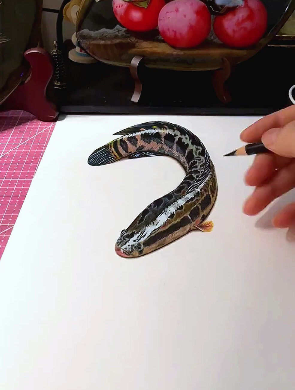 彩铅3D立体画-黑鱼,太真实了