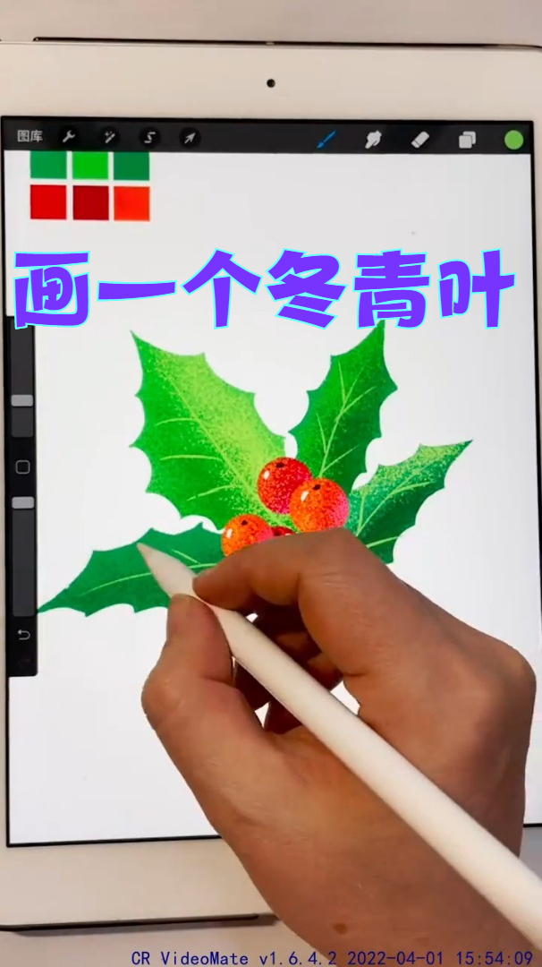 新手小白用来练手的冬青叶插画