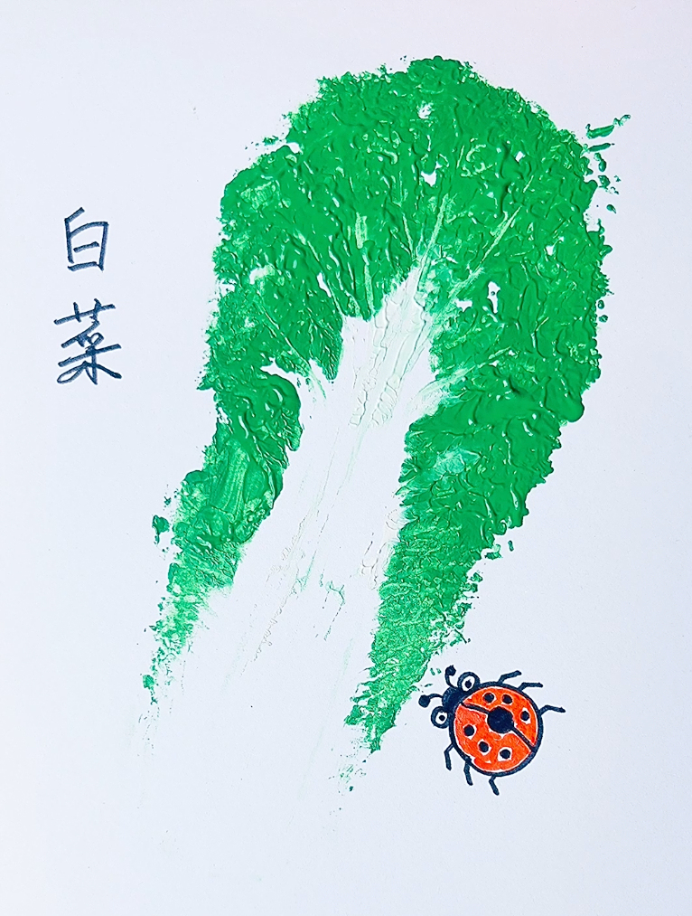 看一遍就会的简笔画:教你用白菜画画
